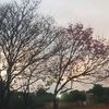 ___ayala___09