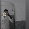malik_subhan_1x