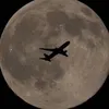 borubokkusu_fjk