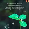 ailan561