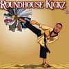 roundhousekickz