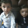 yanal486