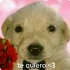 xpalito16