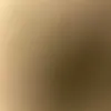 blabar_lingon