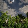 renad_sa_04