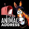 animal_address37