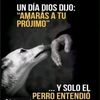 user9237594921089