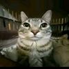 ismael_0109