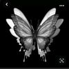 hamba_535