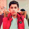 mughal1020315