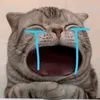userowaut9vf6t