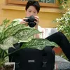 userwkbskti8xk