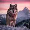 vuongcrypto88
