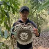 Người Con Núi Rừng