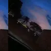 musiica_lua