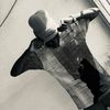 rodyndi13