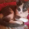 mariavilmalima1234gmail8