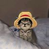 chat._.bromitas