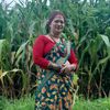 sushilalamichhane11