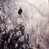 taiga1970