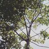 sksk27fkoomez