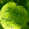 salam3alikom06