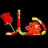 user8732361180022