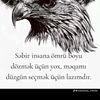 ox_atan_1