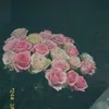 il.mt4