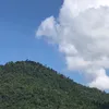 kaliantausiapasaya