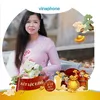 loan_vinaphonebencat