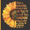 1sunflower_3
