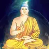 giahanh318