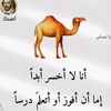 laminceesay541
