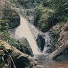 leniduriani