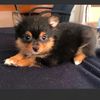 babbyyod4r