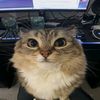 spix_spix