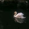 elina..aaa