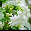 user34309280opop