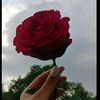 titazina926
