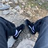 dvnnd19