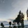 desyrianti12
