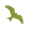 Hawk Conservancy Trust