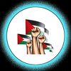 mojammelislamshakib