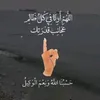 user2991866755981