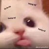 userd7ckwfqszu