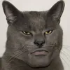 evan_t2s