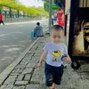 paohoang256