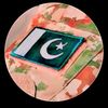 faizanmalik5065