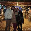 lisbevet1